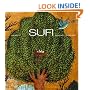 Sufi: Expressions of the Mystic Quest (Art and Imagination)