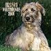 Irish Wolfhounds 2001 Calendar