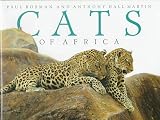 CATS AFRICA