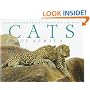 CATS AFRICA
