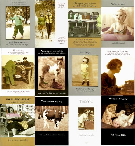 Vintage Look Humorous All Occasion Greeting Cards 72 Piece Set – Birthday Wedding Anniversary Thank You Get Well – Antics Classics From The Pigment Stable