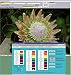 Avanquest Romany Growing Plants Interactive Encyclopedia 3 (PC)