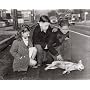 Local News
