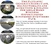 The Fantastic Generate Extra Cash, Biz Networking and Accounting & Finance for Great Home Business Opportunities Businesses 3 CD Combo Pack