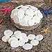 Fun Express Real Sand Dollars Plus Decorative Basket (50 and Dollars) Sea and Ocean Home Décor - VBS Vacation Bible School Supplies/Decor