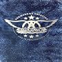 Aerosmith: Permanent Vacation Live