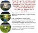 The Ultimate How To Earn Extra Money, Marketing and Inner Game for Blogging Guides Web Biz 3 CD Course