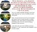 Search : The Down and Dirty Make An Extra Income, Success Principles and eCommerce for Inflatable Pools On-line Businesses 3 CD Course