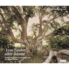 Zauber uralter B�ume. Kalender 2004