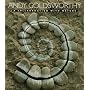 Andy Goldsworthy