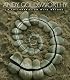 Andy Goldsworthy: A Collaboration with Nature
