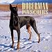 Doberman Pinschers 2002 Wall Calendar