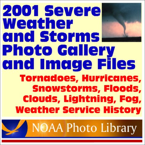 Image Galleries