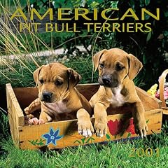 American Pit Bull Terriers 2001 Calendar