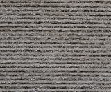 Koala Bear 5 Yard Whole Bolt Fabric