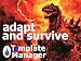 Template Manager