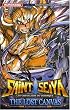 Saint Seiya - The Lost Canvas, Tome 5 :
