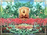 Mandala Puzzle - Buddha Lotus (1000 Teile)