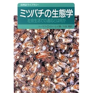 �~�c�o�`�̐��Ԋw�\�Љ���ł̓K���Ƃ͉��� (���R�����C�u�����[)