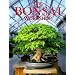 The Bonsai Workshop (Our Garden Variety)