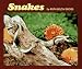 Snakes