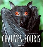 Chauve-souris