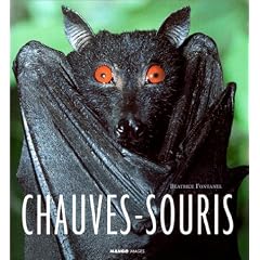 Chauve-souris