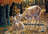 Large Size Wildlife 300 Pieces Autumn Innocence Jigsaw Puzzle