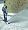 Snow Joe 322P 12-Inch 7.5 Amp Electric Snow Thrower