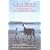 Llamas: An Introduction to Care, Training and Handling