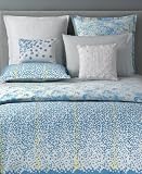 Style&co. Seeds Sheet Set, Queen