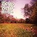 Boy & Bear - Moonfire