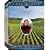 Jancis Robinson's Wine Course