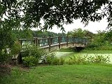 11x14 Digital Art Limited Edition Prints Wooden Bridge Realist "Serenity Bridge"