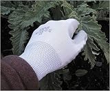 Review Harrod Horticultural  / Showa Plant Master Gloves - Gents, Size 8