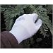 SHOWA PLANT MASTER GLOVES (370) LADIES SIZE 7 MEDIUM