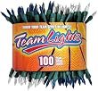 TeamLights Blue and White Decorative Light String in Sports Package