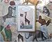 Cavallini Postcard Set- Animals