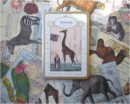 Cavallini Postcard Set- Animals