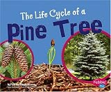 Books : The Life Cycle of a Pine Tree (Pebble Plus)