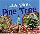 The Life Cycle of a Pine Tree (Pebble Plus)