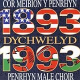 Dychwelyd
