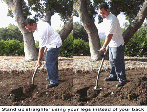 Backsaving Grip