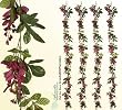 Four 6' Artificial Wisteria Garlands Silk Flowers_Burgundy