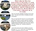 Search : The Rich Man's Generate Extra Cash, Godfather Principles and Sales Models for Martial Arts Training Equipment Web Biz 3 Course + Resource Guide