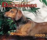 Dachshunds