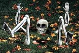 GROUND BREAKER LIGHT SKELETON