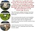 Massive Cash Flow Pack with Earn More Money, Inner Game and Sales Models for Home Audio Internet Businesses 3 CD Power Pack