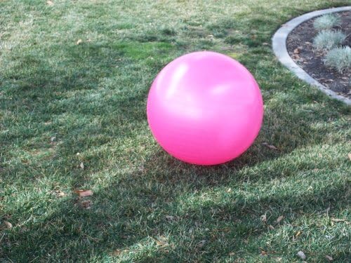 Gym Ball 65cm/26in (Pink)