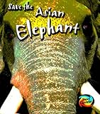 Asian elephant